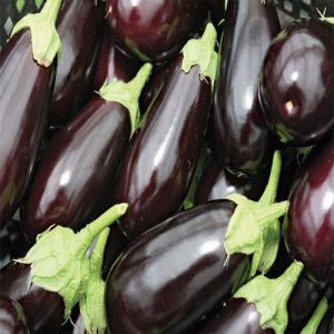 Eggplant 3