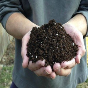 GARDENERS Planting Mix Potting Soil 2