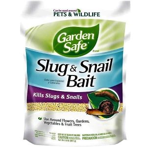 Garden Safe Slug Snail Bait 2LB 1