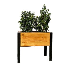 Raised Bed Wood Planter Outdoor and Indoor